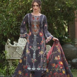 Hive Arts simple printed Pakistani semilawn