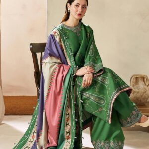 Hive Art Green Pakistani simple party wear women